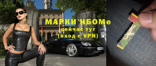 ешки Алексин