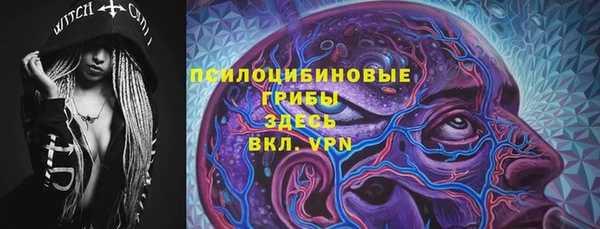 ешки Алексин